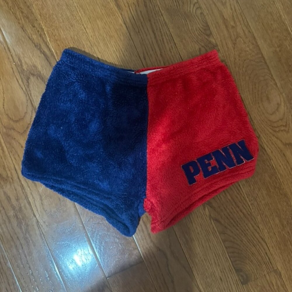 UPenn Fluffy Pajama Shorts